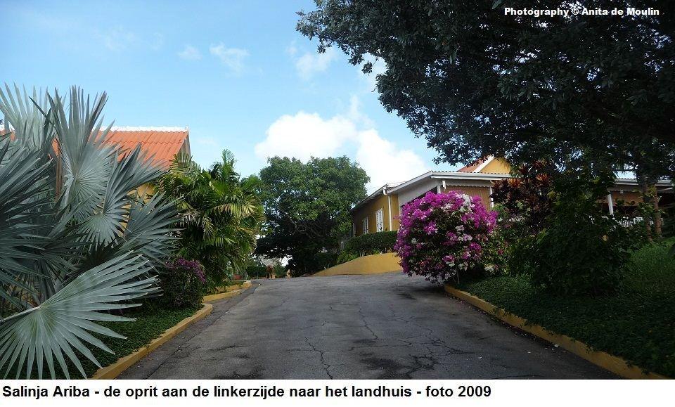 03. Salinja Ariba oprit naar landhuis 2009